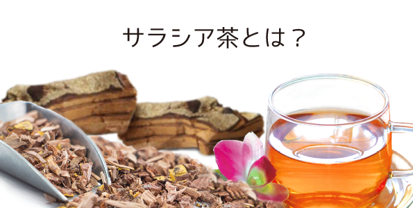 サラシア茶とは？